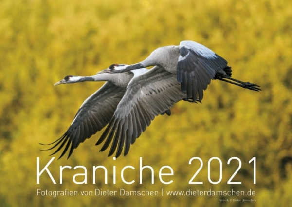 Kraniche 2021 – Bild 2