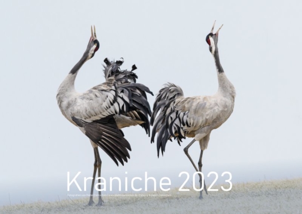 Kraniche 2023 - DIN A2 – Bild 2