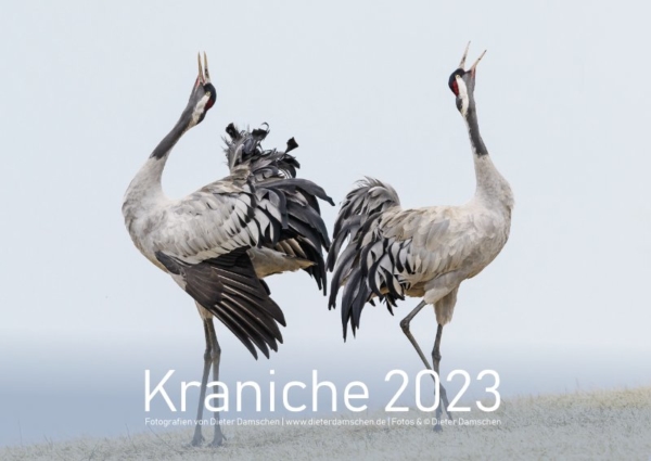 Kraniche 2023 - DIN A3 – Bild 2