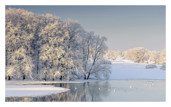 naturbilder 2024 - Impressionen aus der Elbtalaue – Bild 3