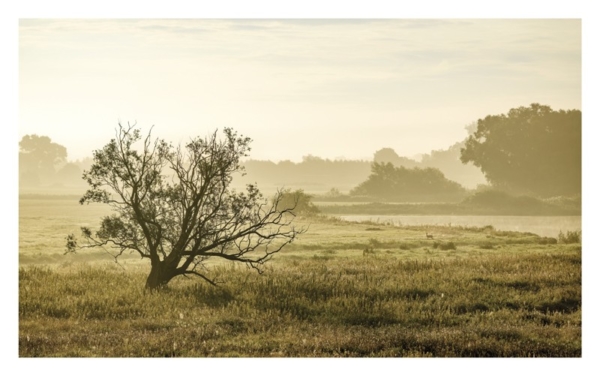 naturbilder 2024 - Impressionen aus der Elbtalaue – Bild 17