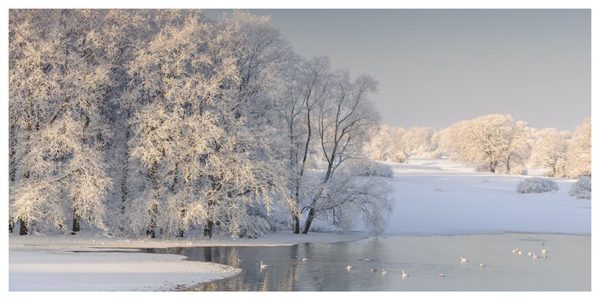 Winterhochwasser an der Elbe