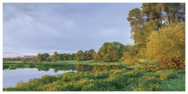 Frühlingsmorgen an der Elbe